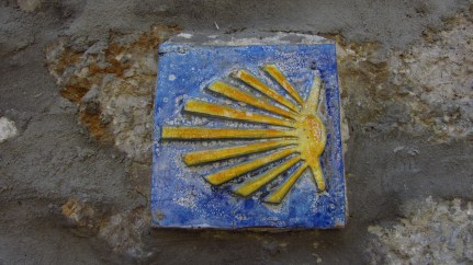 Shells that guide the way. 