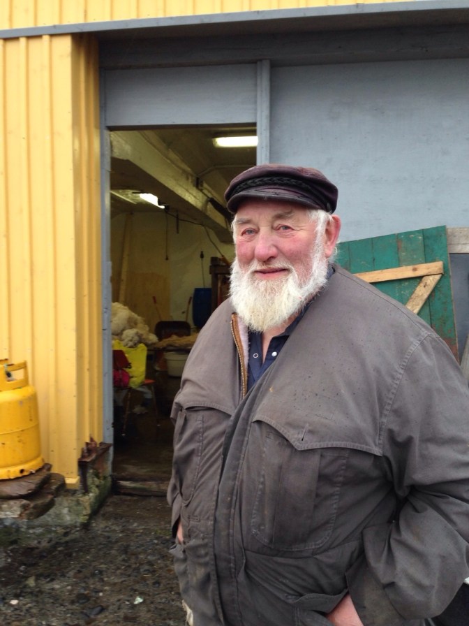 One of the few permanent Flatey Island residents.