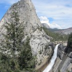 La Belle Fleur Sauvage