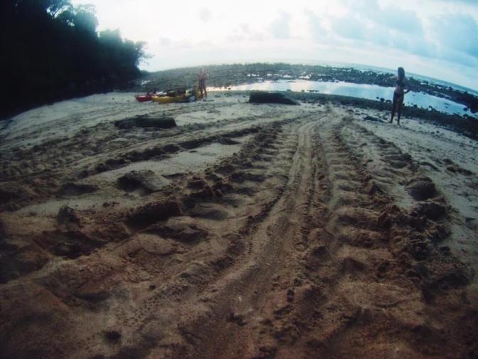 13600195_10153934653104398_3910045508544634569_n (1)