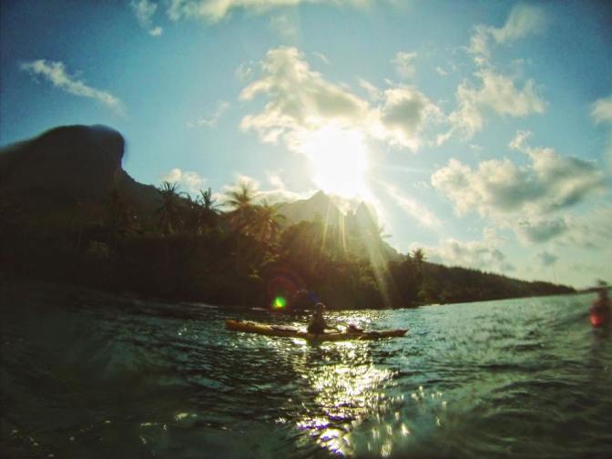 13619937_10153934659119398_5208059816075717146_n (1)