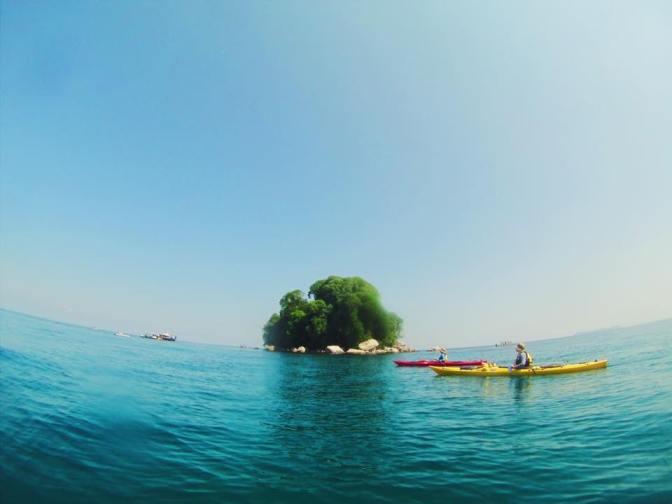 13627257_10153934598879398_7305764799215721218_n (1)