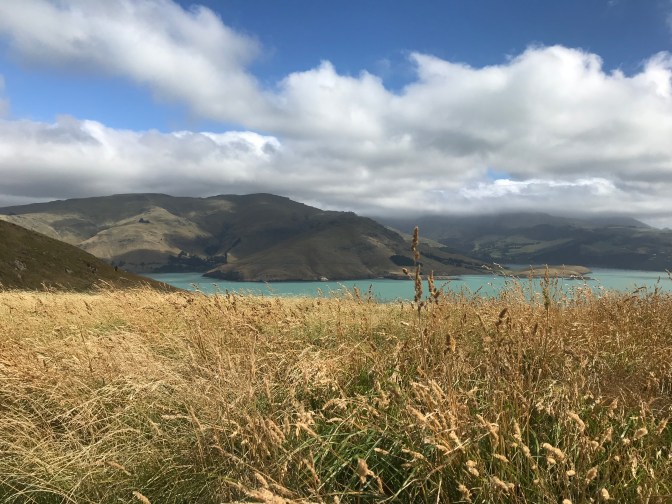 08f69e11-93e6-4702-9cd4-be7aa70e1908