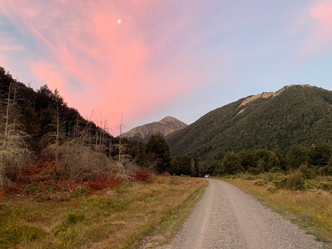 5a880d80-0238-4e94-8d17-4d863c259729