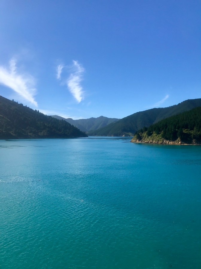 63306f74-645c-4fd0-a22a-506ea174c818