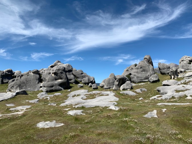 73012998-ee84-4f91-8b11-6da371b4f540