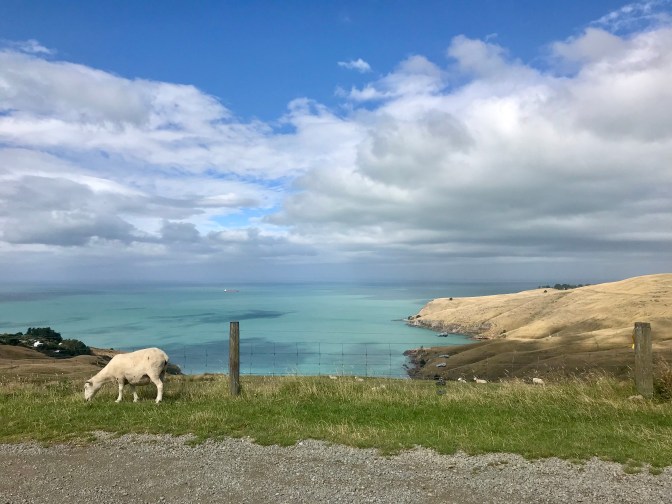 8ba3e1a4-6429-4f6e-b353-0591861b62e7