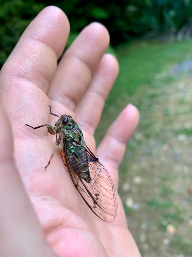 3A58A235-F8C1-443B-BD63-9EB64EC3196E