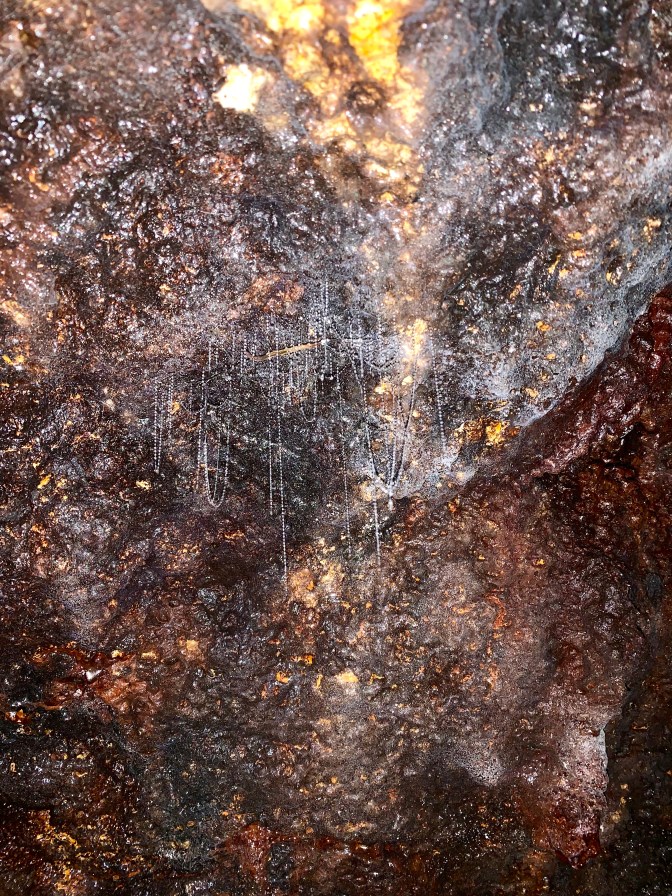 49BBC0D4-6811-452E-A2A2-E06EF4D5F37D