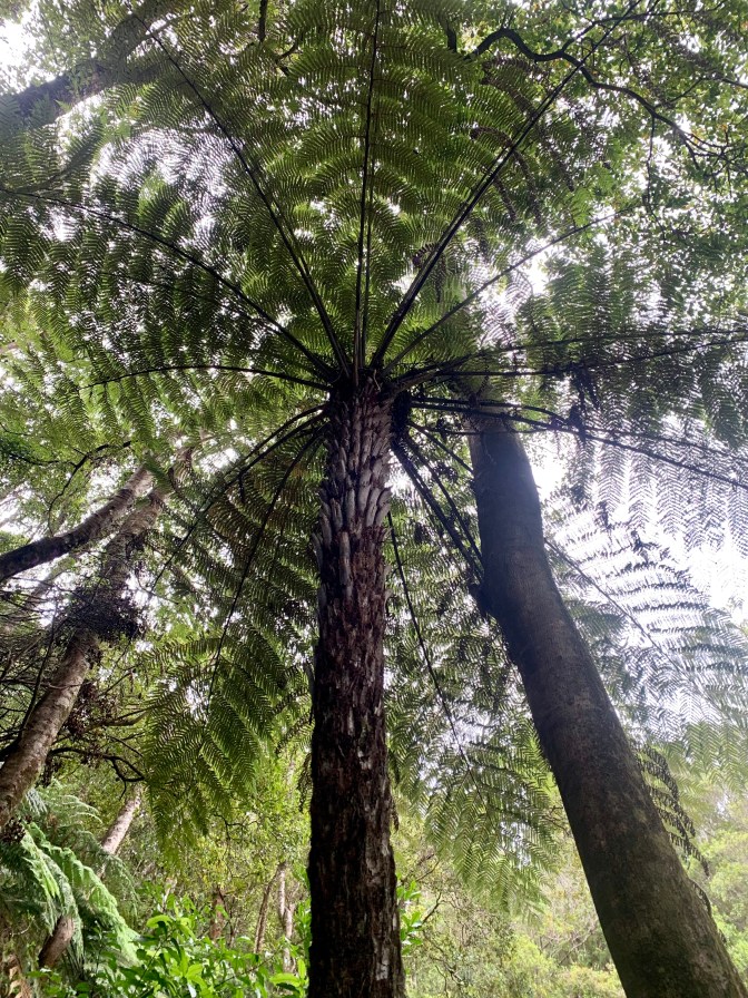 8BB32078-1815-465F-B59B-1353BC0E9FA6