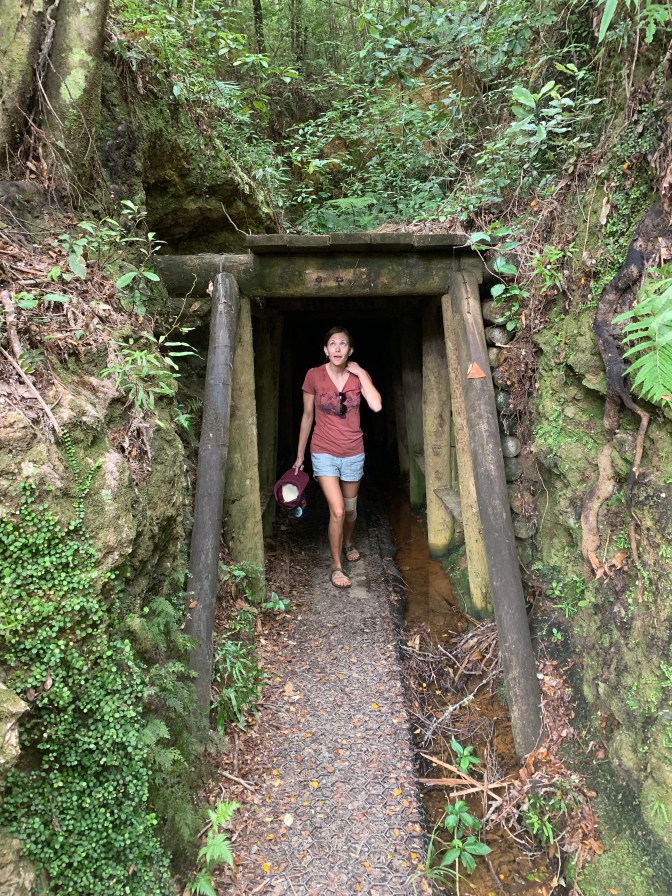 9EA5D00A-7326-48EE-97C2-855ADF5985A0