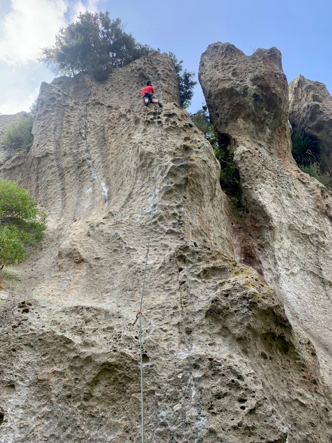 C9AFCBD3-40C4-4131-87AA-63F0B25E55B2