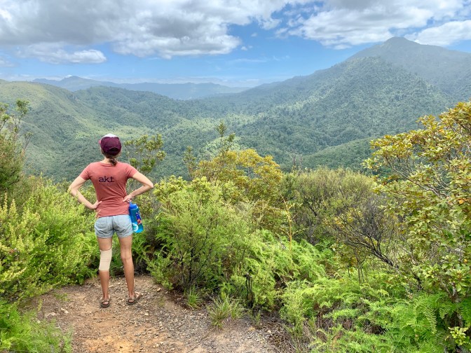 D6A355C4-D5BA-4BEC-87E5-629DD6900CF6