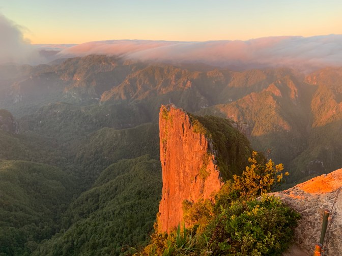 2A915DBE-FD93-4BE9-B901-677B15ABE191