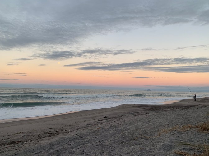 3F43E0A3-E3D3-4E7A-A810-A862195441BC