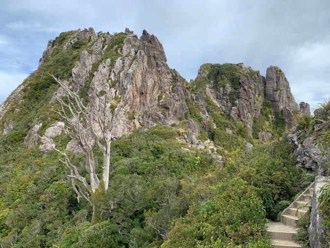 7D77BCA1-0700-47EB-9F70-A4B97C9FAE70