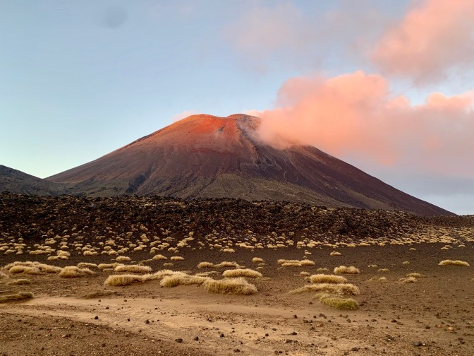 8385C048-CCCE-455F-901A-520E3D275696