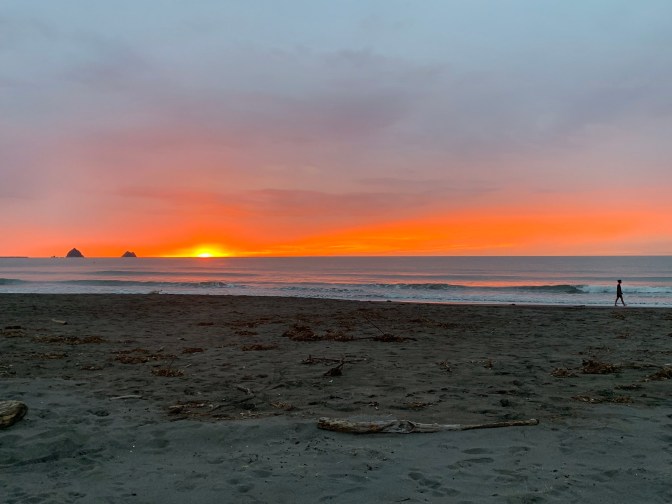 FEC2F065-0002-4F57-BD0F-C70A9015F643