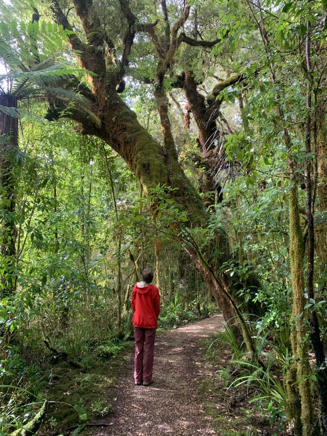 5EB9A729-B496-40A3-A703-D6FF04CABE8A