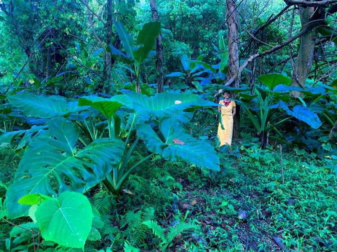 05502B6C-4B36-4EDB-AC27-090759C8EB2D