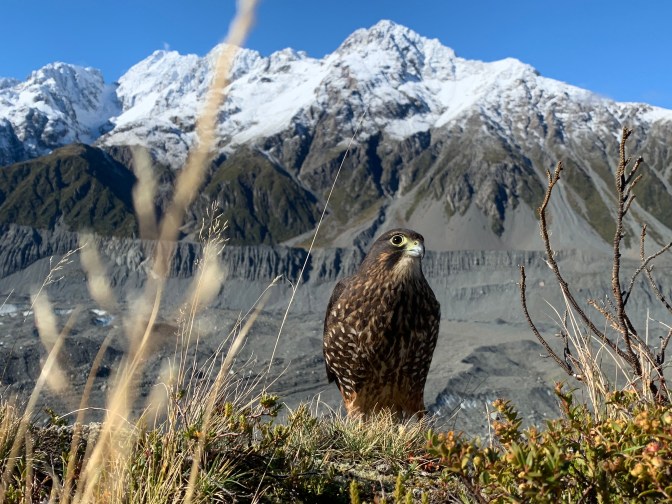 3F249D01-AADB-4F4F-960F-88F7AF89E0F3