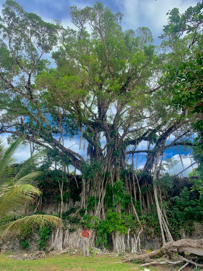 445122CB-58A0-4D7D-8907-A80C0AF06E7F