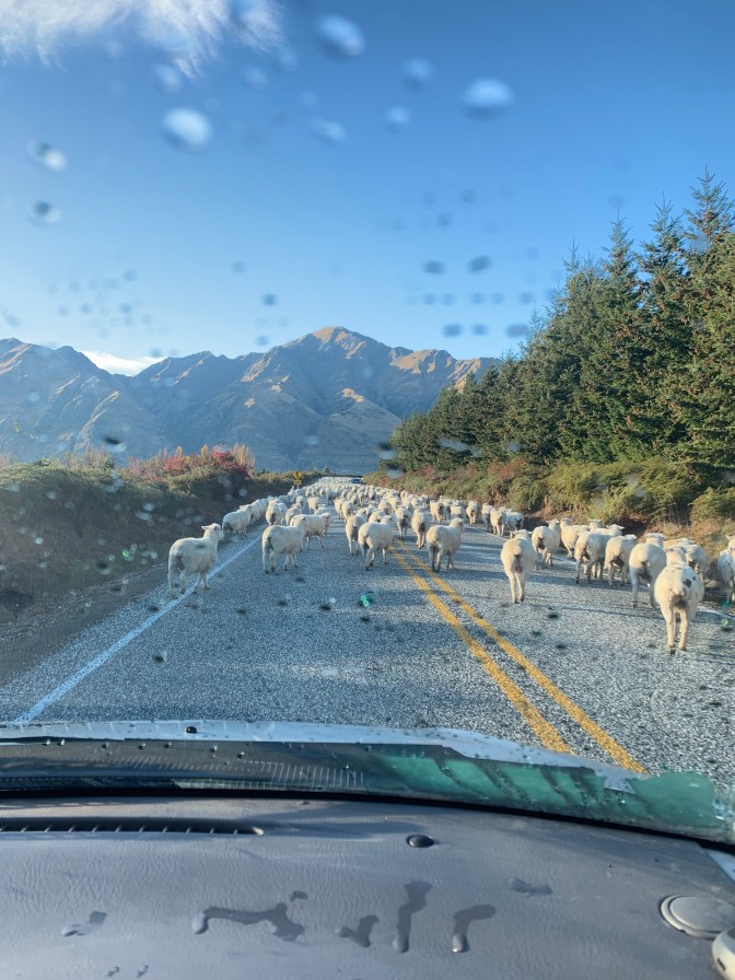 5FCEF68D-1680-407E-90B1-5C90706C63AD