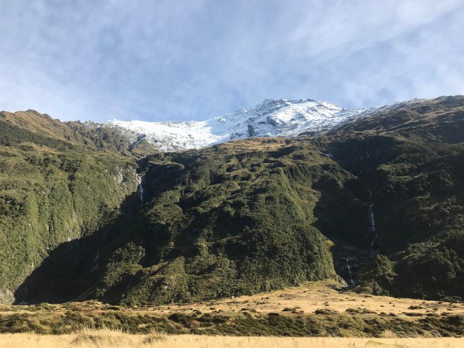 88D947E5-49E5-43DB-8815-7D5EC9D3E937