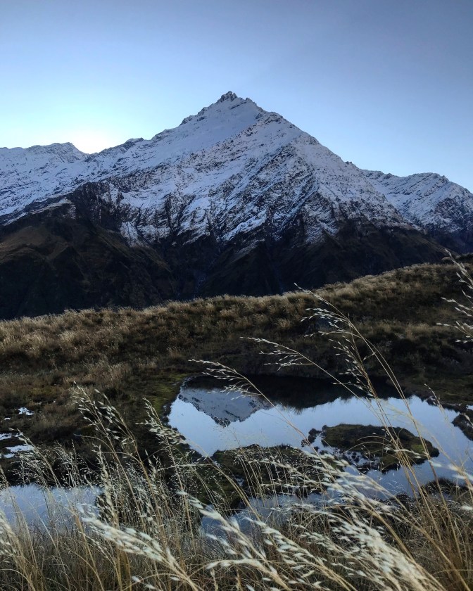 8BD91426-BFFF-4B00-90A5-AE3CB38C1D22