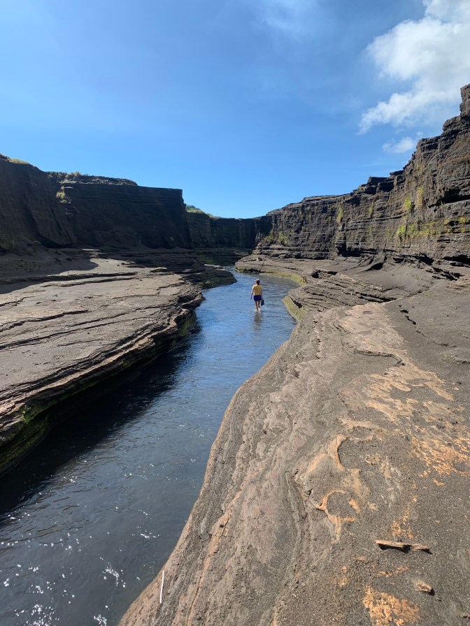 8CED976C-0210-4D85-A03F-C5CB5291B057