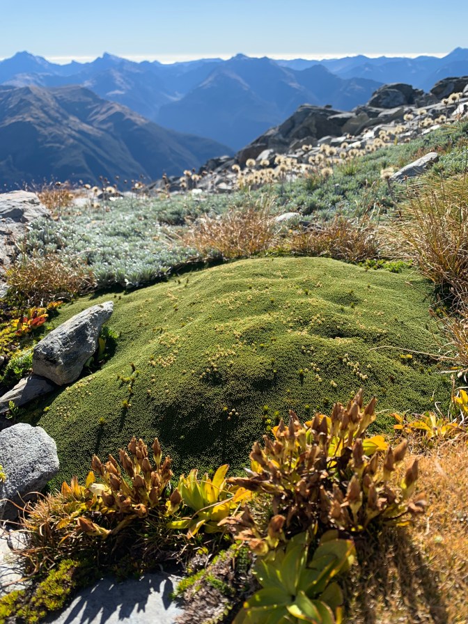 ACAEFCB2-A899-4E1F-B765-FA9CD2442C14