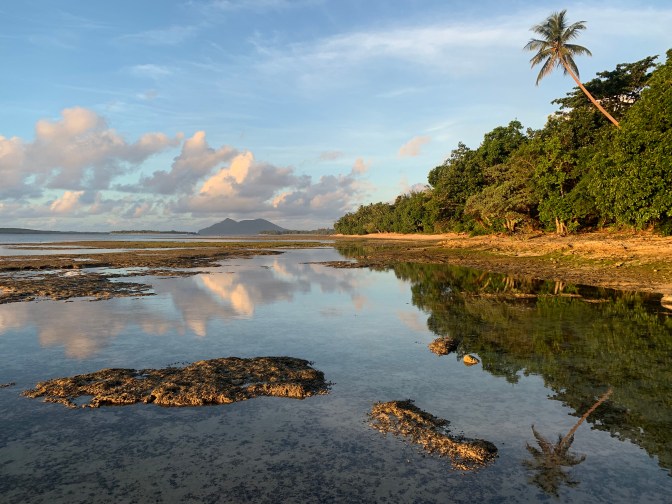 C6CCAB31-1D1F-4899-8AFF-3B54DE6E6726