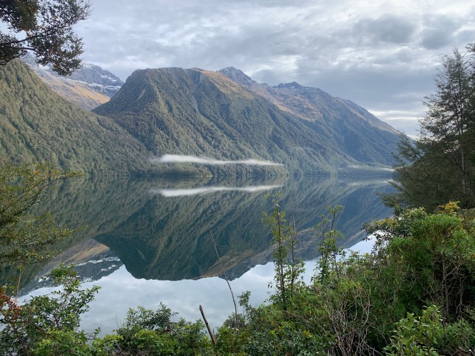 C8AC5DA9-2DB1-44F8-8EC9-53432F40A229