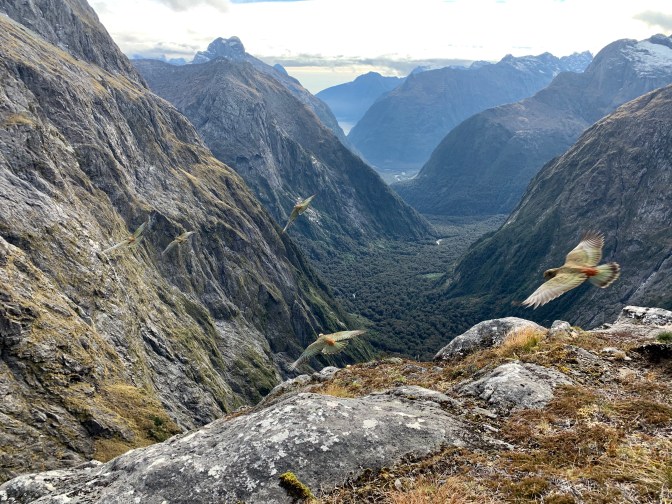 D6AE3E47-A9B6-4074-9587-C349B5CDB98B