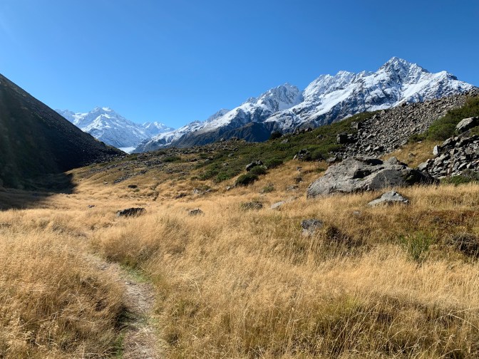 E04733A3-634A-45F9-9A94-1C21E1F3454B