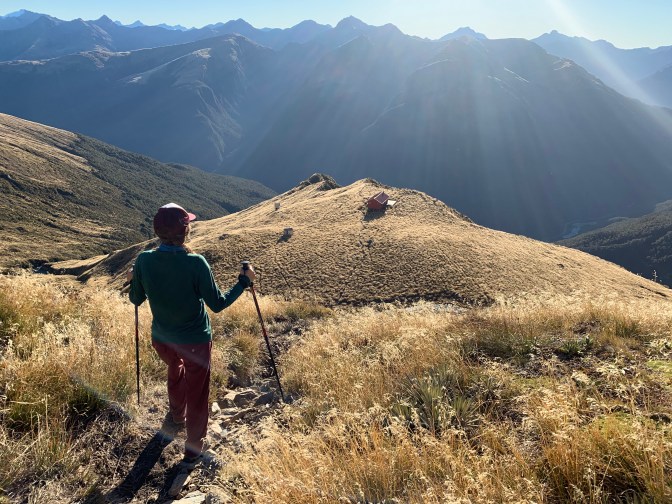 E9009B03-922F-43F9-9CF1-8DDA69D5ABB1