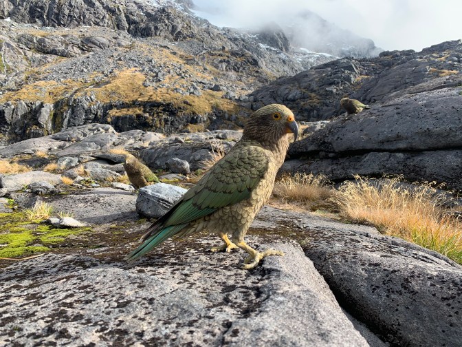 F23E2519-BE5D-4DC7-A792-336993FF3FD1