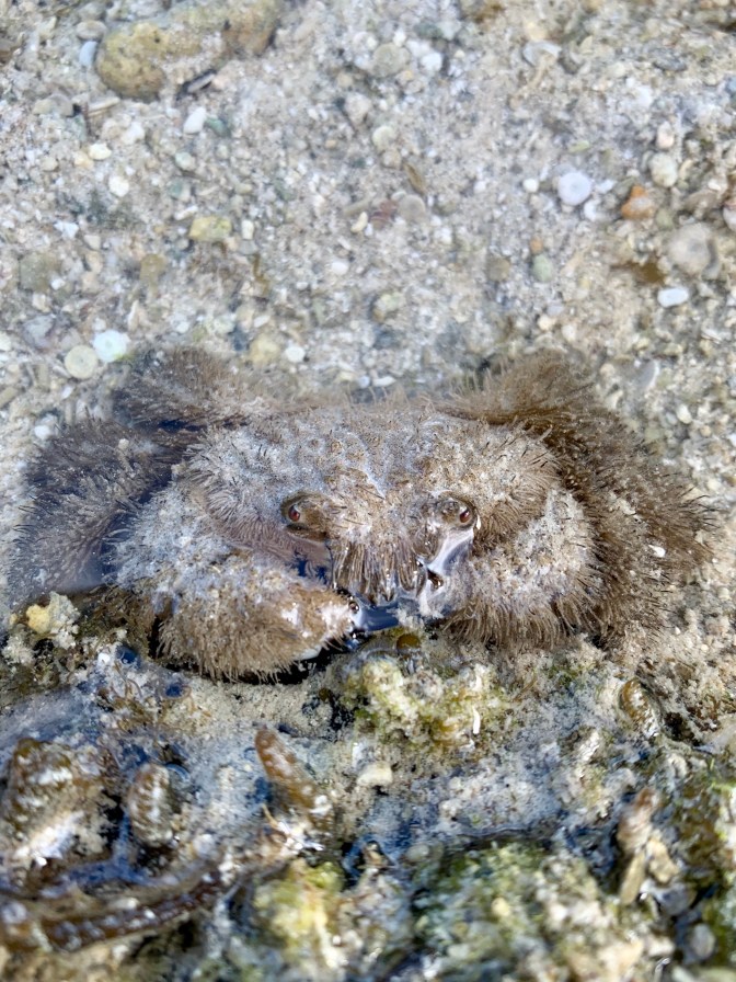 F9DA9B01-7575-4434-B141-0C5BCA93B325