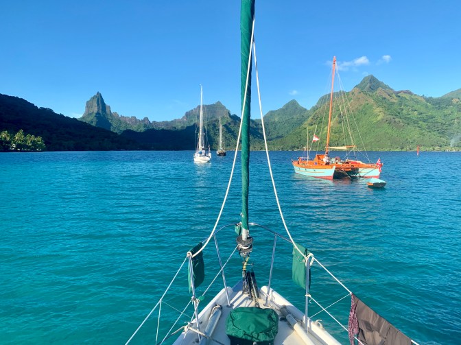 401DE439-188D-4355-B238-06BC262220F0