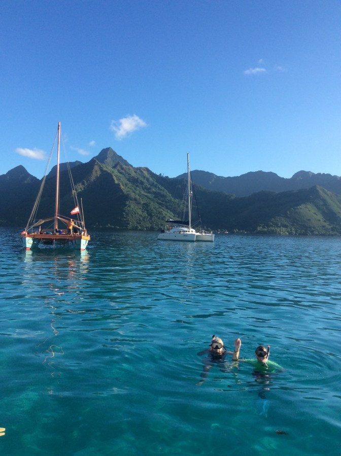 51770DC8-356E-43B2-B16F-9CCBA2D61CFC