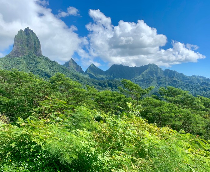 EB9E943D-31ED-40B9-AAC0-8D92DAD5032E