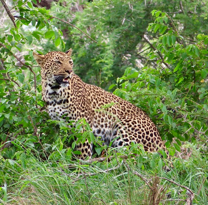 0107E718-DD4D-4834-8504-466447A1319F