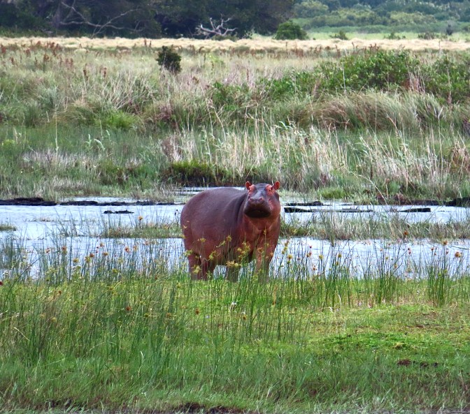 04301E6D-5D69-4140-93C2-86A0A8DF44A9