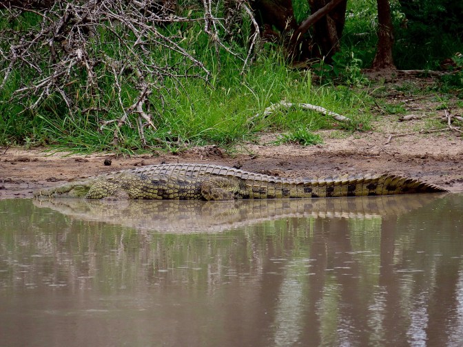 0622B881-1B5D-4DF1-96F3-B819AF56D213