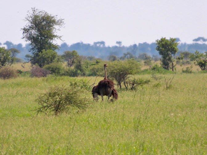 064A8FBE-7730-4C23-B148-91C989AC76E8