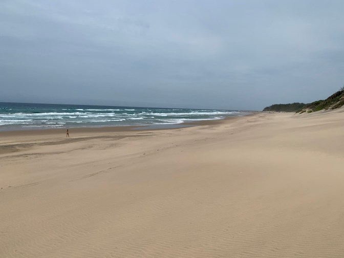 1469EC6B-DEAB-4812-B833-5A37544FFF89