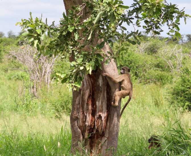 179DB41E-73BB-4CDA-90EE-6EDB80660C47