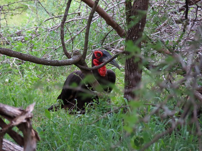 17F319E2-34CC-44E9-821C-BB34E945D998