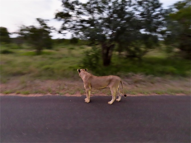 238E4C73-890F-45F6-8A85-6C5F7831F6E2