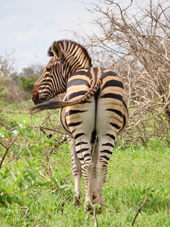 2DAF7683-3985-4819-A71D-25CCBBE72B8E